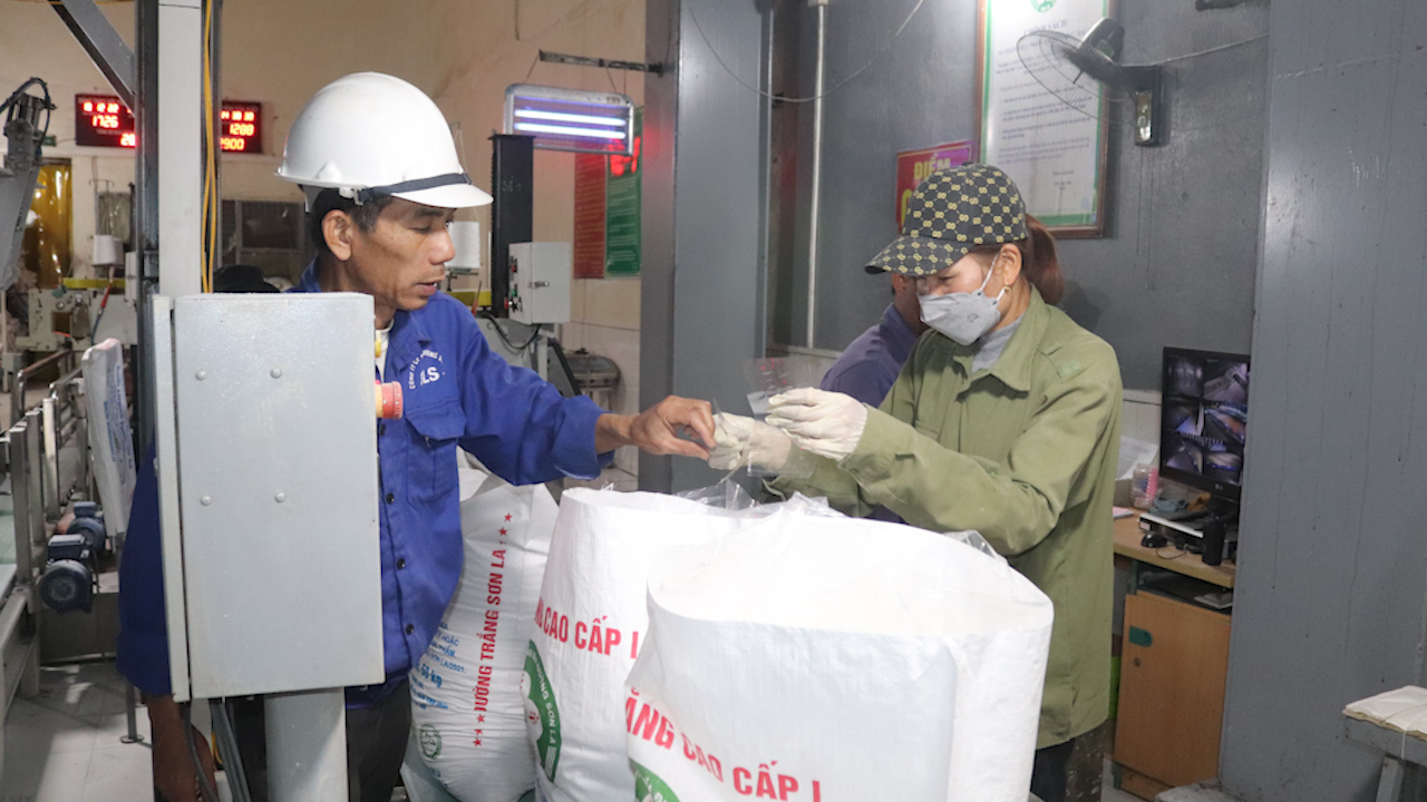 Công ty cổ phần Mía đường Sơn La đồng hành cùng nông dân - Ảnh 3. Công ty cổ phần Mía đường Sơn La đồng hành cùng nông dân - Ảnh 3.
