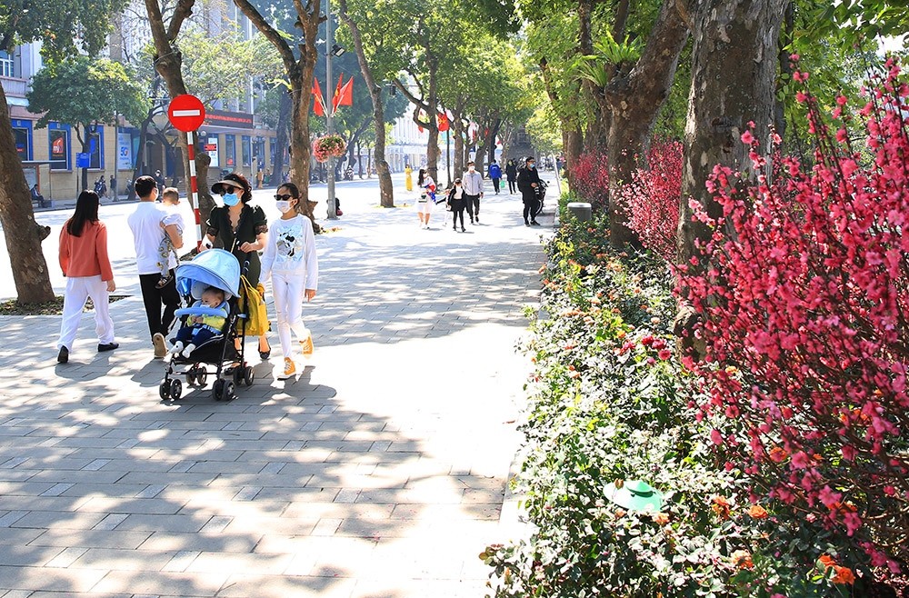 Ảnh minh họa Ảnh minh họa