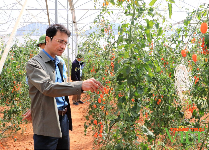 Tân Uyên cần tập trung phát triển nông nghiệp công nghệ cao- Ảnh 2. Tân Uyên cần tập trung phát triển nông nghiệp công nghệ cao- Ảnh 2.