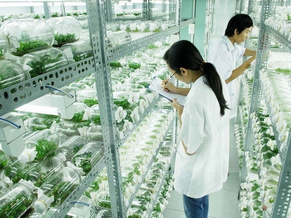 Phòng thí nghiệp của Học viện Nông nghiệp Việt Nam Phòng thí nghiệp của Học viện Nông nghiệp Việt Nam