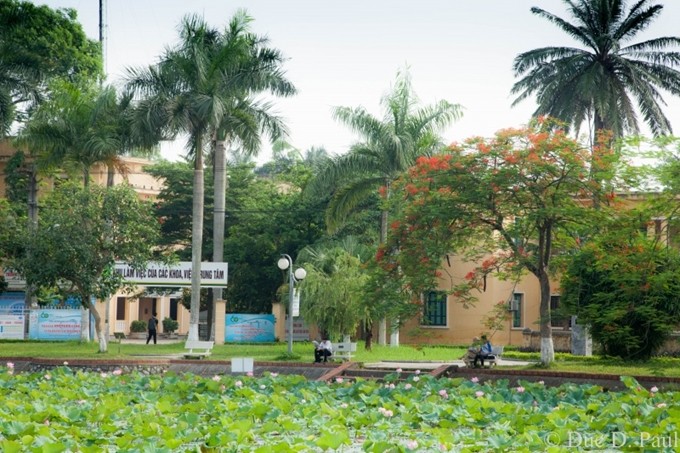Học viện Nông nghiệp Việt Nam công bố 4 phương thức xét tuyển Học viện Nông nghiệp Việt Nam công bố 4 phương thức xét tuyển