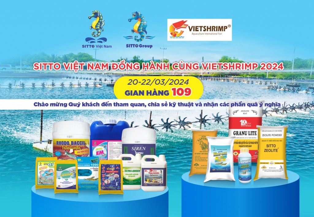 Sitto Việt Nam đồng hành cùng Vietshirmp 2024 Sitto Việt Nam đồng hành cùng Vietshirmp 2024