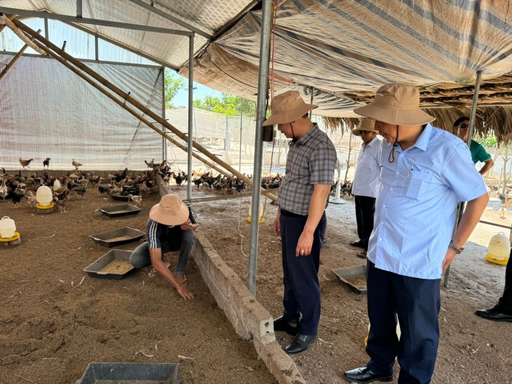 Cùng nông dân xử lý rác thải theo hướng thân thiện với môi trường Cùng nông dân xử lý rác thải theo hướng thân thiện với môi trường