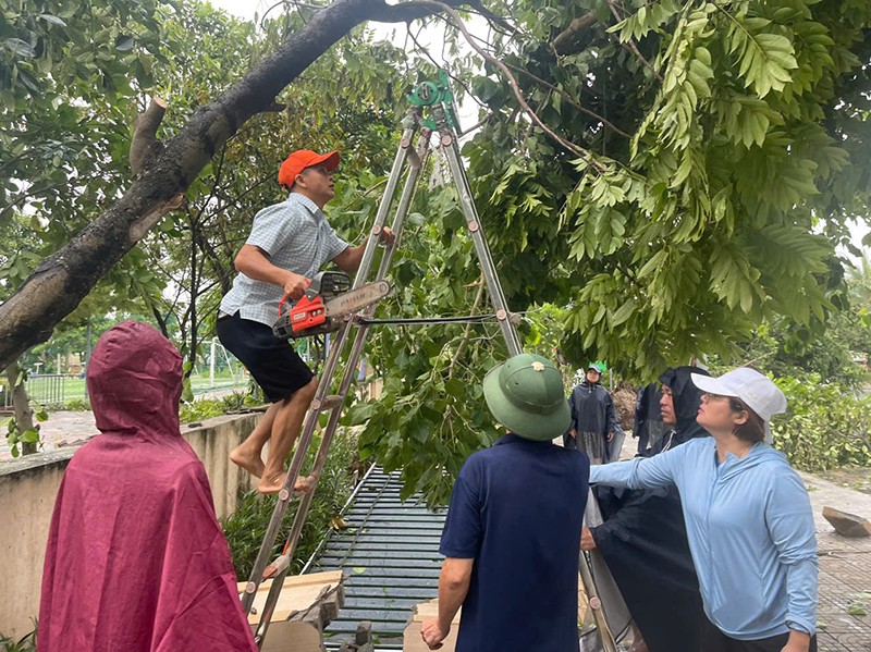Các trường phối hợp với chính quyền cơ sở thu dọn, cắt tỉa cây xanh bị gãy đổ sau bão Các trường phối hợp với chính quyền cơ sở thu dọn, cắt tỉa cây xanh bị gãy đổ sau bão