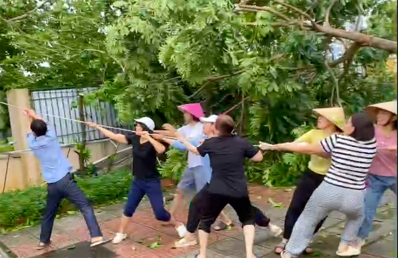 Huy động các cô giáo kéo trồng lại cây xanh trong sân trường bị đổ sau bão (ảnh cắt clip) Huy động các cô giáo kéo trồng lại cây xanh trong sân trường bị đổ sau bão (ảnh cắt clip)