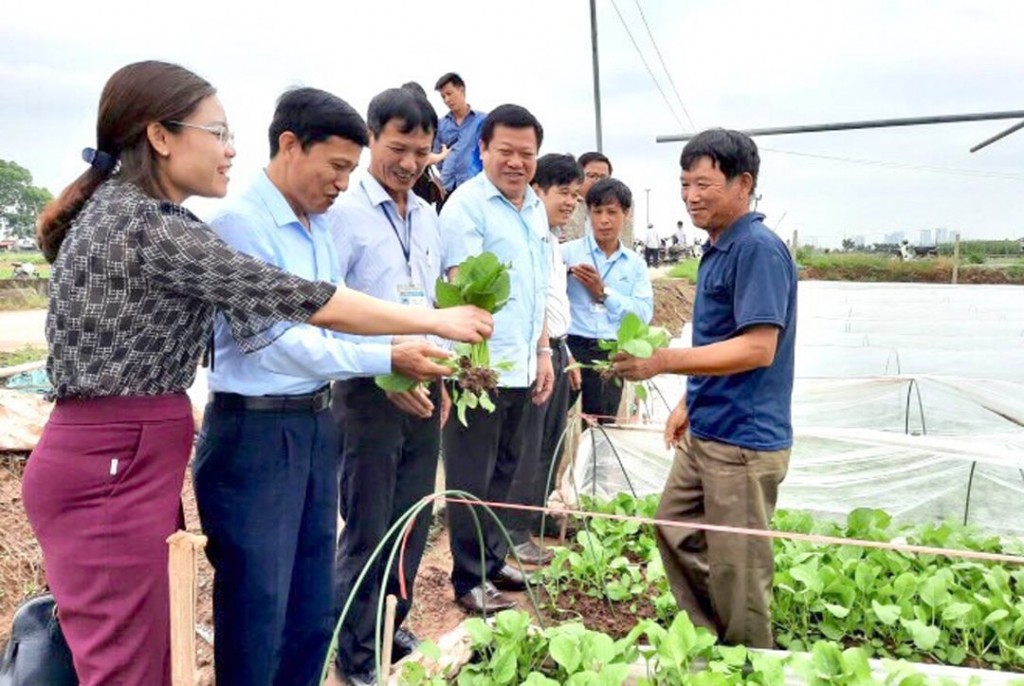 Phát huy tinh thần đoàn kết trong xây dựng Nông thôn mới kiểu mẫu Phát huy tinh thần đoàn kết trong xây dựng Nông thôn mới kiểu mẫu
