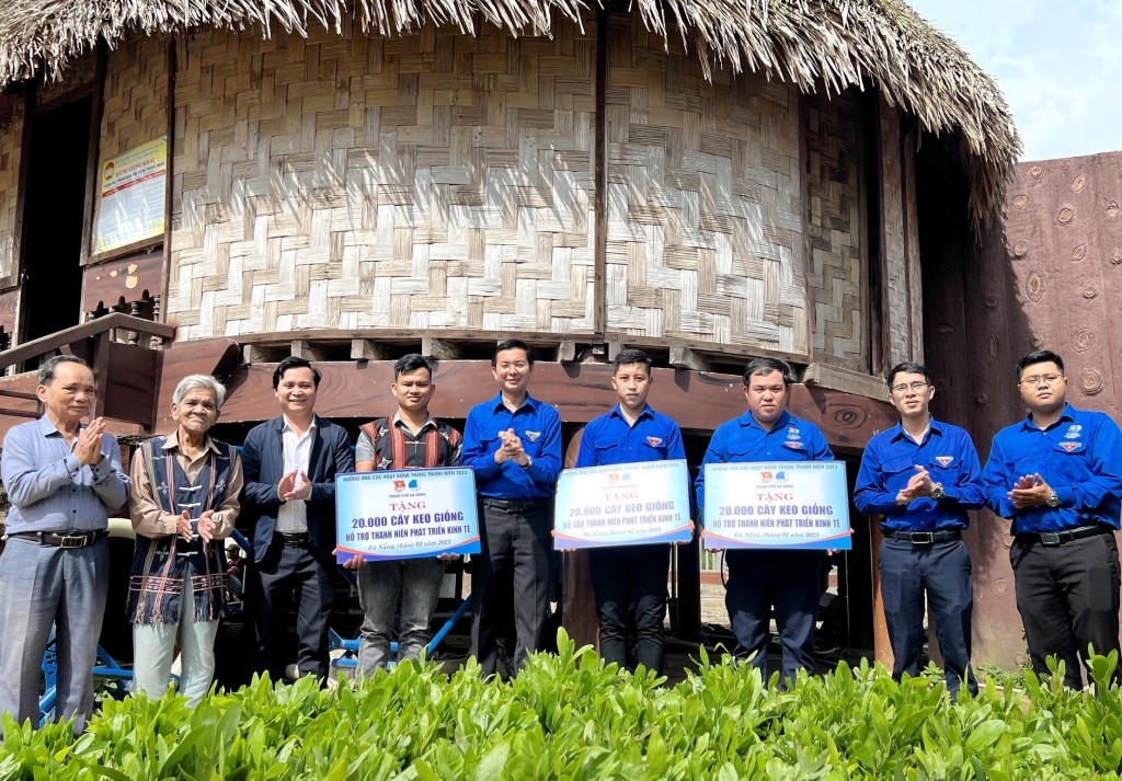 Thành đoàn Đà Nẵng trao cây giống cho thanh niên phát triển kinh tế tại xã Hòa Phú, huyện Hòa Vang Thành đoàn Đà Nẵng trao cây giống cho thanh niên phát triển kinh tế tại xã Hòa Phú, huyện Hòa Vang