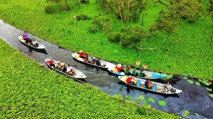 Một góc rừng tràm Trà Sư, tỉnh An Giang. Ảnh: Thiên Ý