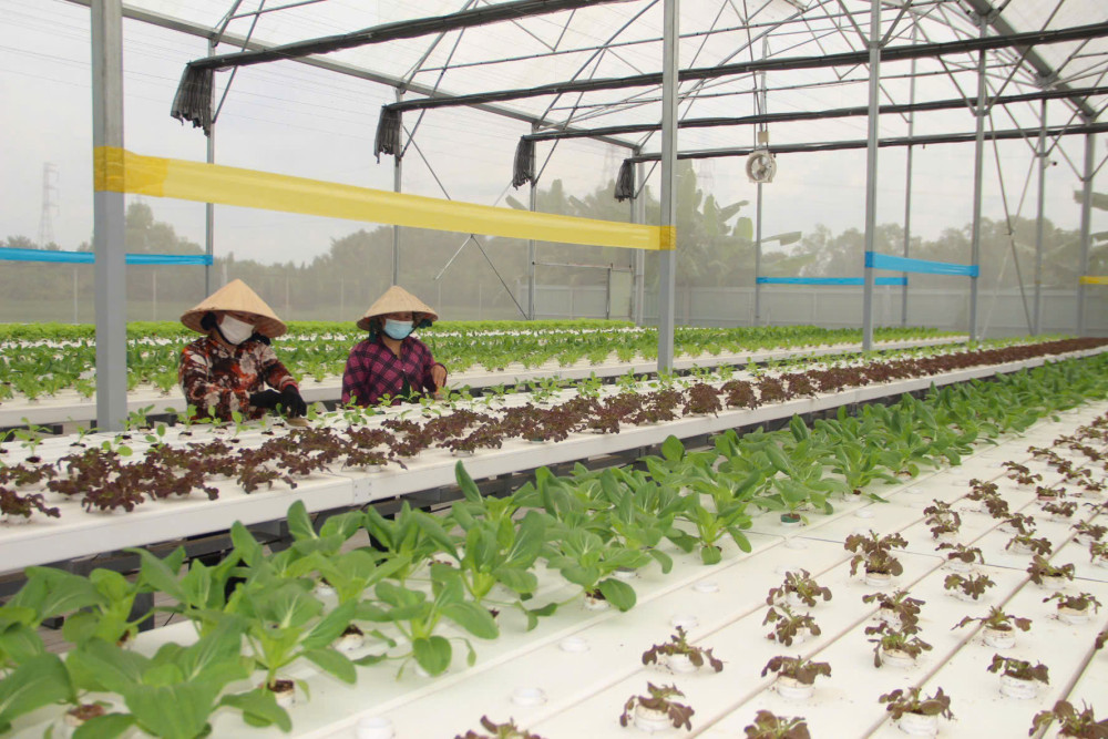 Phát huy lợi thế, nâng tầm nông nghiệp công nghệ cao