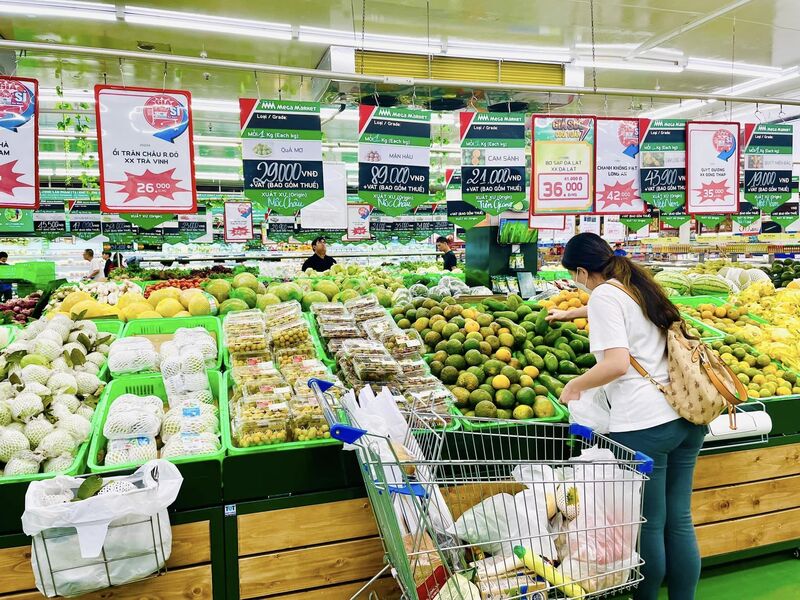 Ngành bán lẻ Việt Nam đã có sự tăng trưởng nhanh, trở thành một trong những trụ cột quan trọng của nền kinh tế.