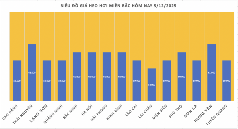 Giá heo hơi hôm nay 5/12/2025: Tiếp tục lập đỉnh mới - 1