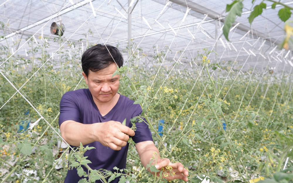 Bảo vệ môi trường trong sản xuất nông nghiệp