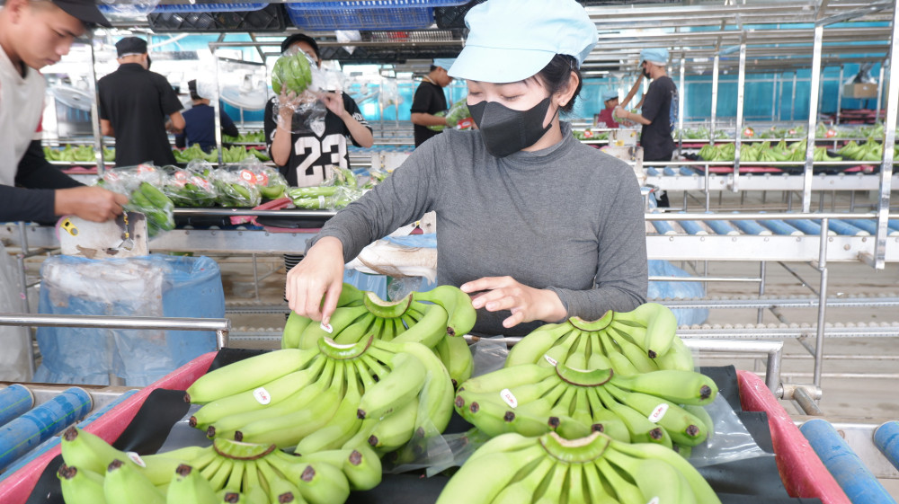 Bảo vệ môi trường trong sản xuất nông nghiệp