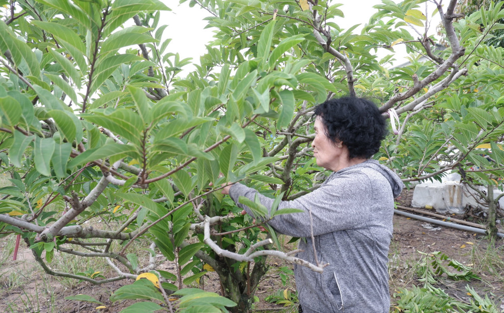 Bảo vệ môi trường trong sản xuất nông nghiệp