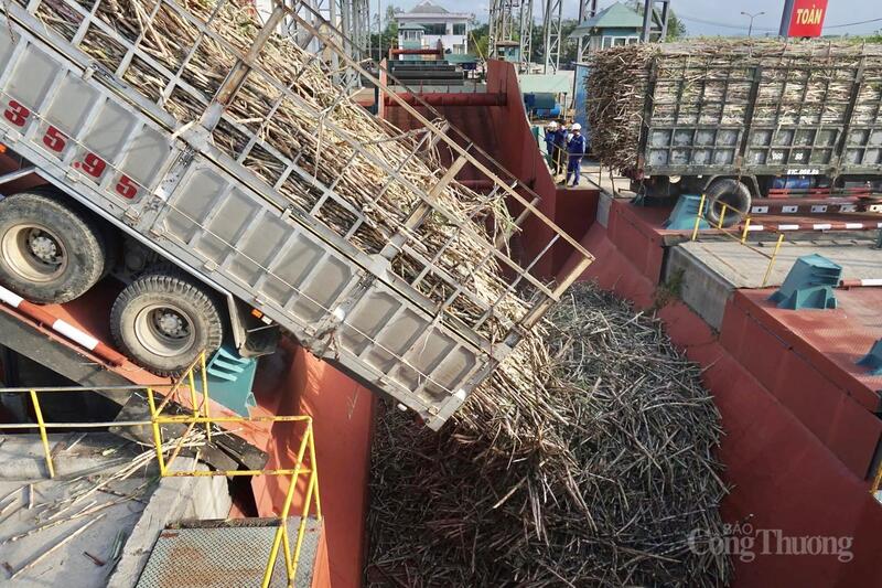 Năm 2026, tỉnh Gia Lai phấn đấu giá trị gia tăng công nghiệp tăng từ 11,5 - 12,5%, chỉ số sản xuất công nghiệp tăng từ 9,5 - 10,5%.