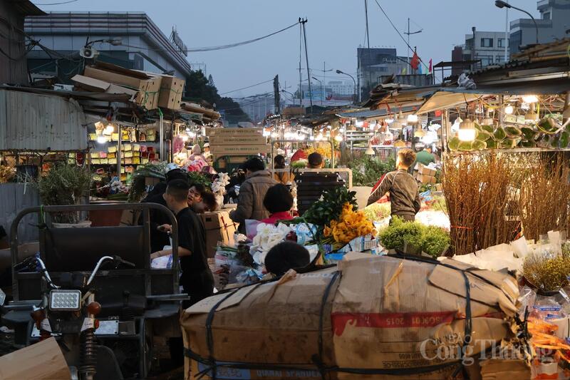 Hà Nội: Chợ hoa Quảng An nhộn nhịp, giá tăng cao dịp 8/3 - 2