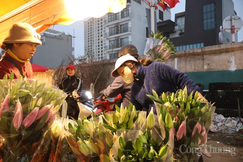 Hà Nội: Chợ hoa Quảng An nhộn nhịp, giá tăng cao dịp 8/3 - 7