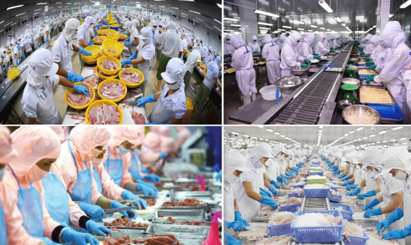 Xuất khẩu thủy sản những năm qua đã trở thành mũi nhọn của Việt Nam.