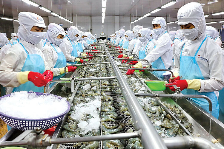 Xuất khẩu tôm tiếp tục giữ vai trò trụ cột của ngành thủy sản với quy mô kim ngạch lớn và mức tăng trưởng tích cực.