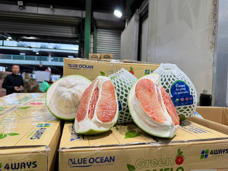 940,5 kg bưởi tươi được vận chuyển bằng đường hàng không đã thông quan và vào được thị trường Australia. Ảnh: Cục Trồng trọt và Bảo vệ thực vật