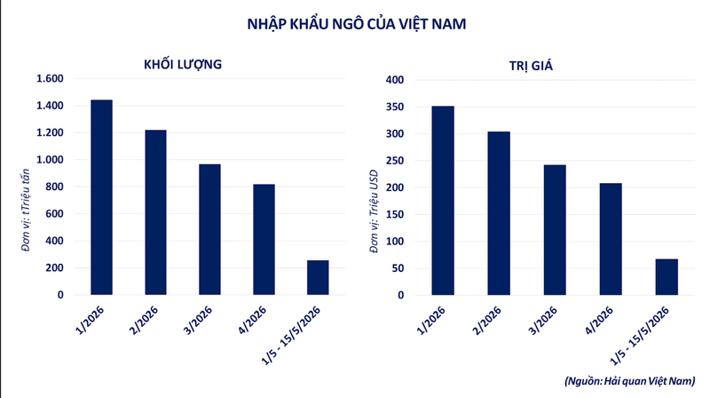 Nhập khẩu ngô của Việt Nam. Nguồn: MXV