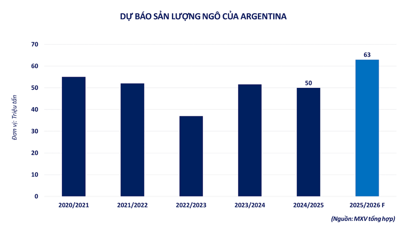 Dự báo sản lượng ngô của Argentina. Nguồn: MXV
