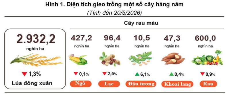 Sản xuất nông nghiệp phục hồi, nuôi trồng thủy sản tiếp tục khởi sắc - 2