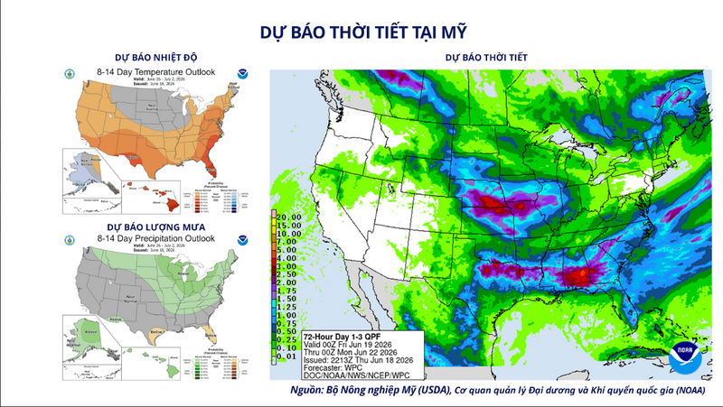 Dự báo thời tiết tại Mỹ. Nguồn: MXV