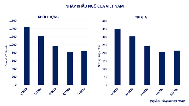 Nhập khẩu ngô của Việt Nam. Nguồn: MXV