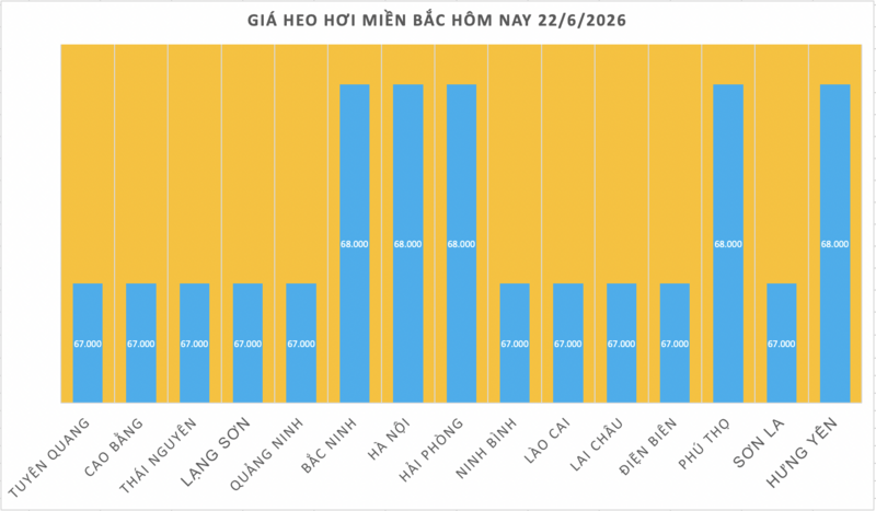 Giá heo hơi hôm nay 22/6/2026: Lặng sóng chờ tín hiệu mới - 1