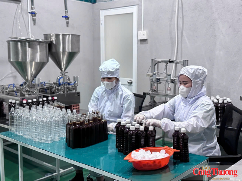 Mỗi tháng, doanh nghiệp chế biến 100-150 tấn mía tươi, tạo ra khoảng 10-15 tấn mật thành phẩm