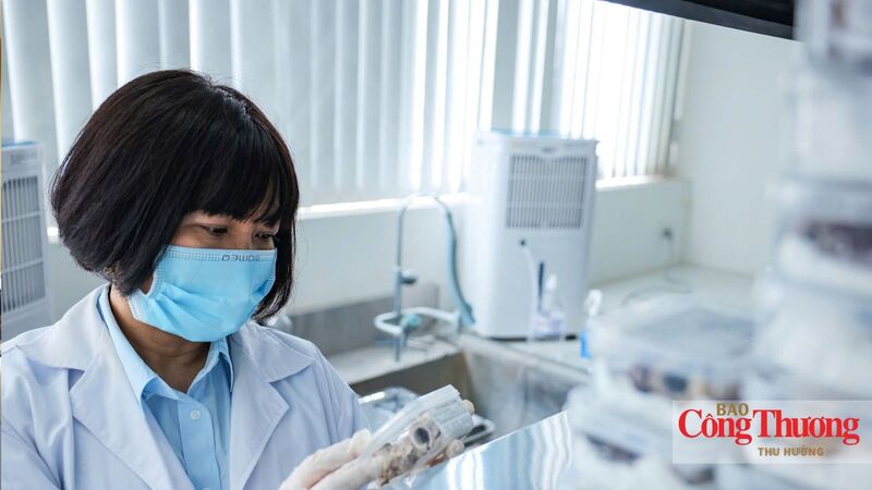 Công tác phân tích mẫu tại Trung tâm giám định ADN - Viện Sinh học, Viện Hàn lâm Khoa học và Công nghệ Việt Nam