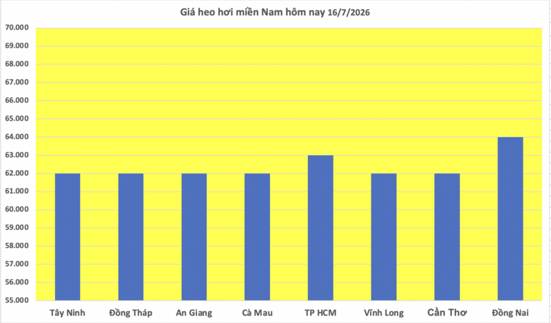 Giá heo hơi hôm nay 16/7/2026: Tăng mạnh tại miền Bắc, miền Trung - 3