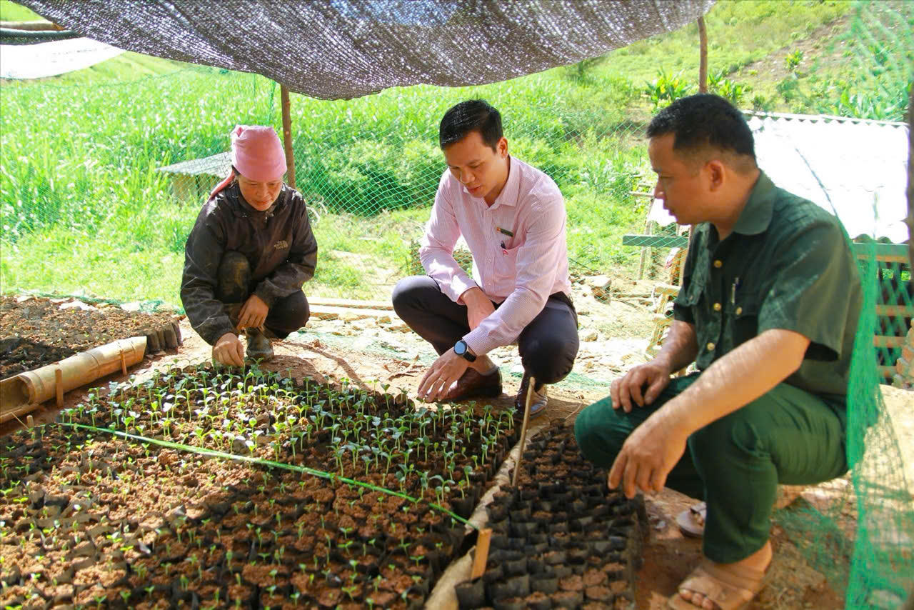 Tín dụng chính sách - 'điểm tựa vững chắc' giúp đồng bào Sơn La thoát nghèo
