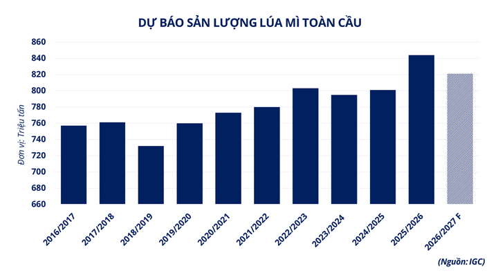 Dự báo sản lượng lúa mì toàn cầu.