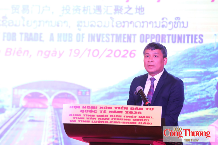 Thứ trưởng Thường trực Bộ Ngoại giao Nguyễn Minh Vũ phát biểu tại hội nghị