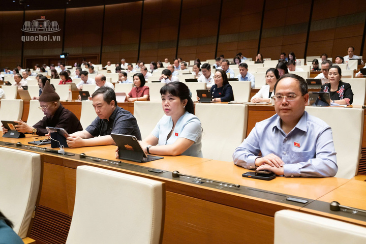 Các đại biểu dự kỳ họp.
